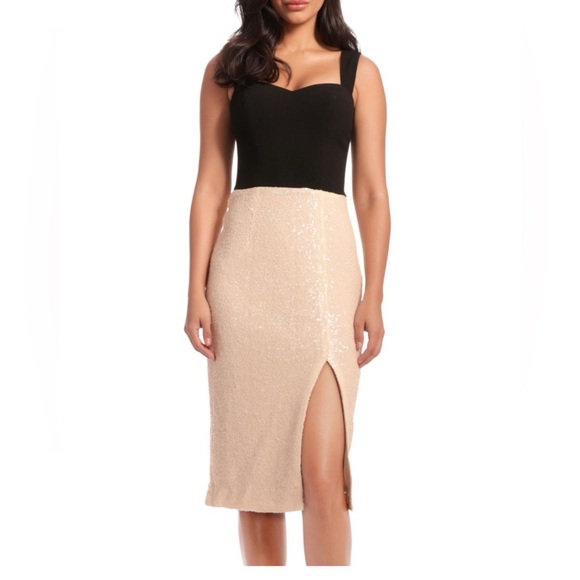 Dress the Population Dresses & Skirts - NWT Malise Colorblock Midi Dress
